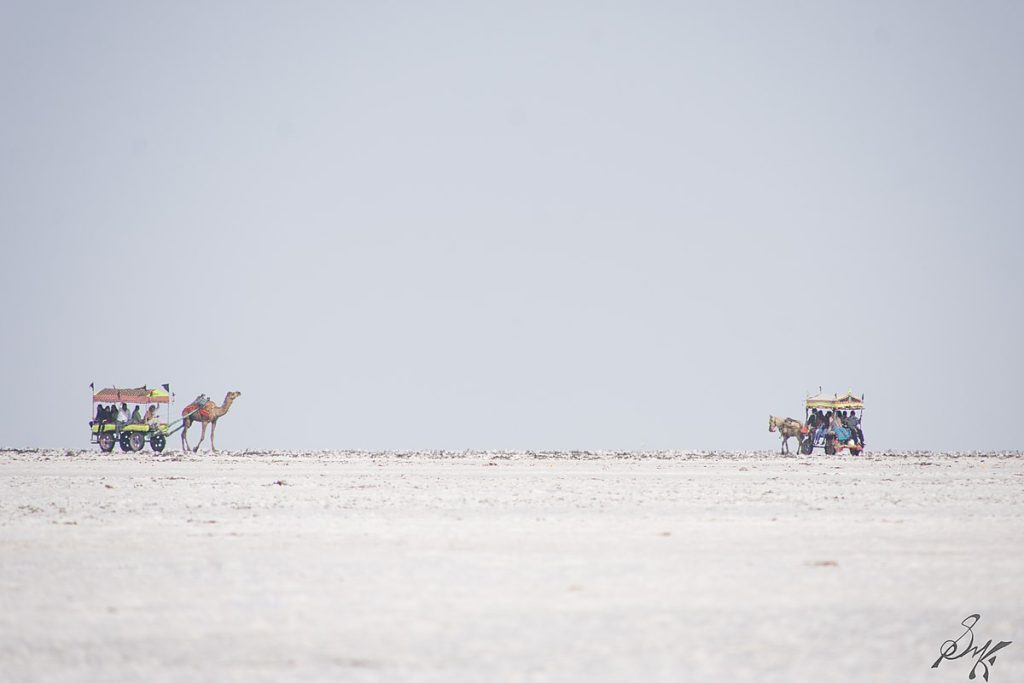 kutch tourism