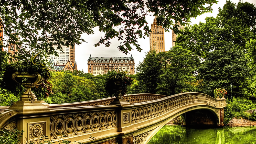 Discover Central Park, New York's iconic green oasis, with a rich history, must-visit places, best visiting times, ticket prices, and nearby attractions. Dive into the heart of NYC’s urban paradise!

