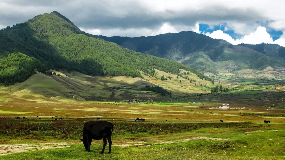 Phobjikha Valley